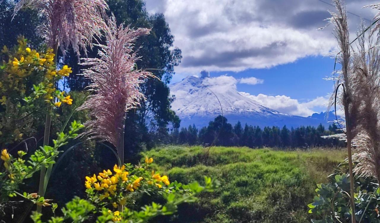 Cuscungo Cotopaxi Hostel & Lodge Chasqui Exterior foto